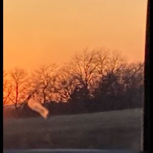 Meet your Posher, Arrin